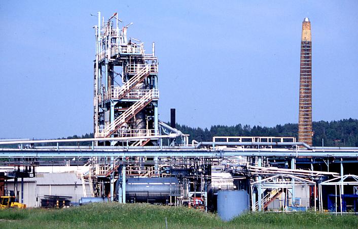 Nol plant